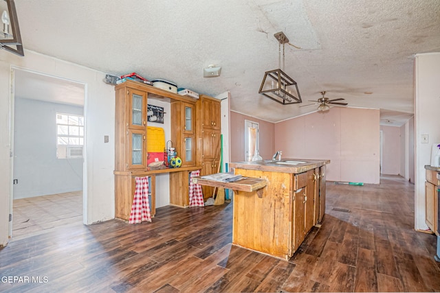 kitchen with sink, vaulted ceiling, ceiling fan, an island with sink, and dark hardwood / wood-style flooring