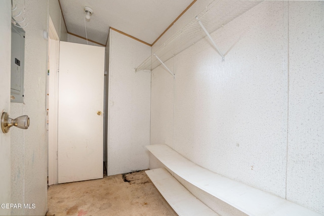 spacious closet featuring electric panel and vaulted ceiling