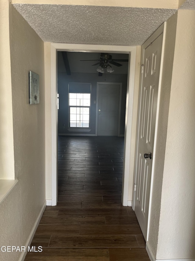 hallway featuring dark hardwood / wood-style floors