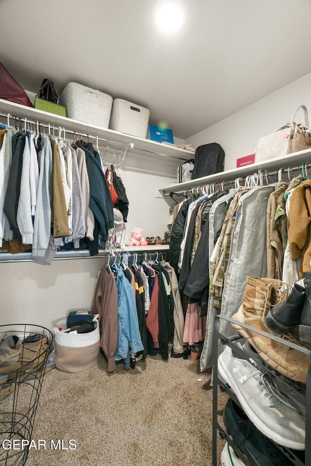 spacious closet featuring carpet floors