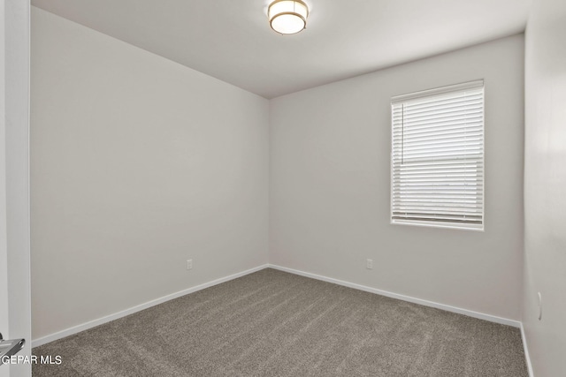 spare room featuring carpet floors