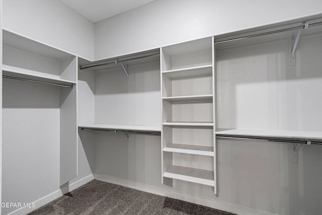 spacious closet featuring dark colored carpet