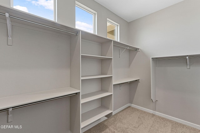 spacious closet featuring light colored carpet