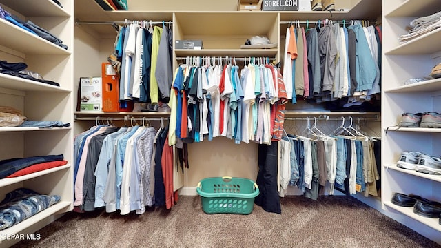 walk in closet featuring carpet