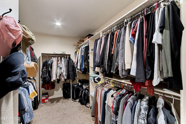 spacious closet featuring light carpet