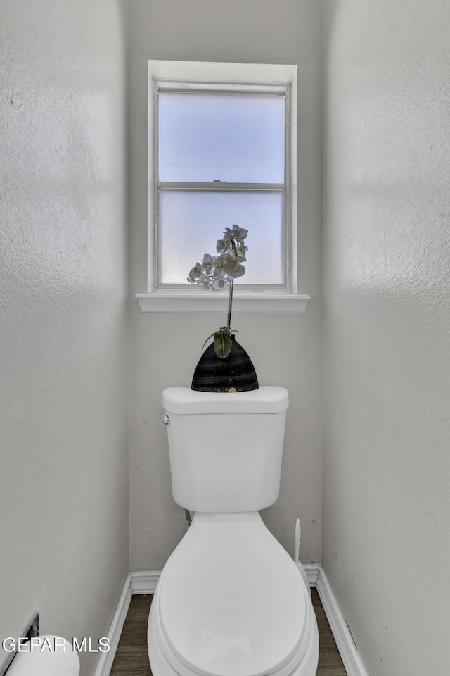 bathroom with wood-type flooring and toilet