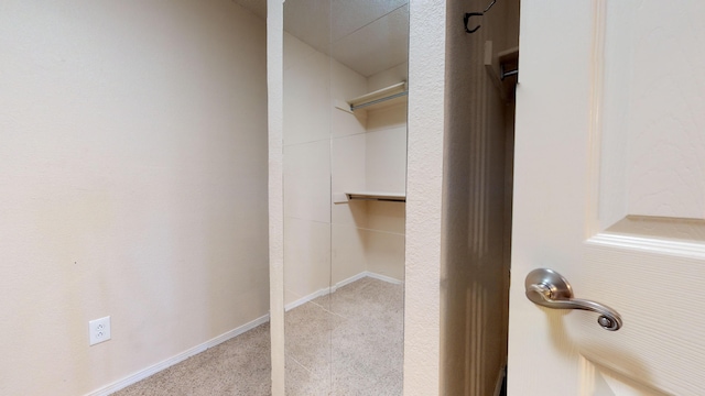 walk in closet with light colored carpet