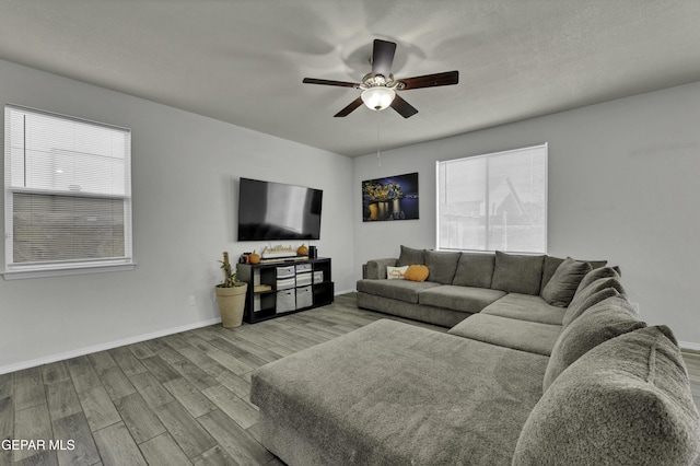 living room featuring a wealth of natural light, ceiling fan, and light hardwood / wood-style flooring