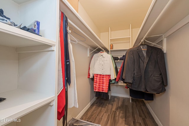 spacious closet featuring dark hardwood / wood-style floors