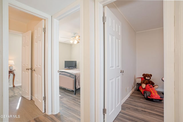 corridor featuring hardwood / wood-style floors and ornamental molding