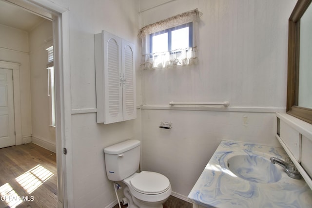 bathroom with wood-type flooring, vanity, and toilet