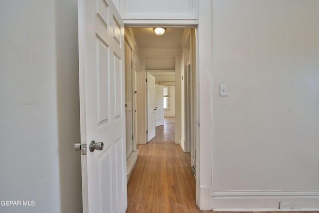 corridor with light hardwood / wood-style floors and ornamental molding