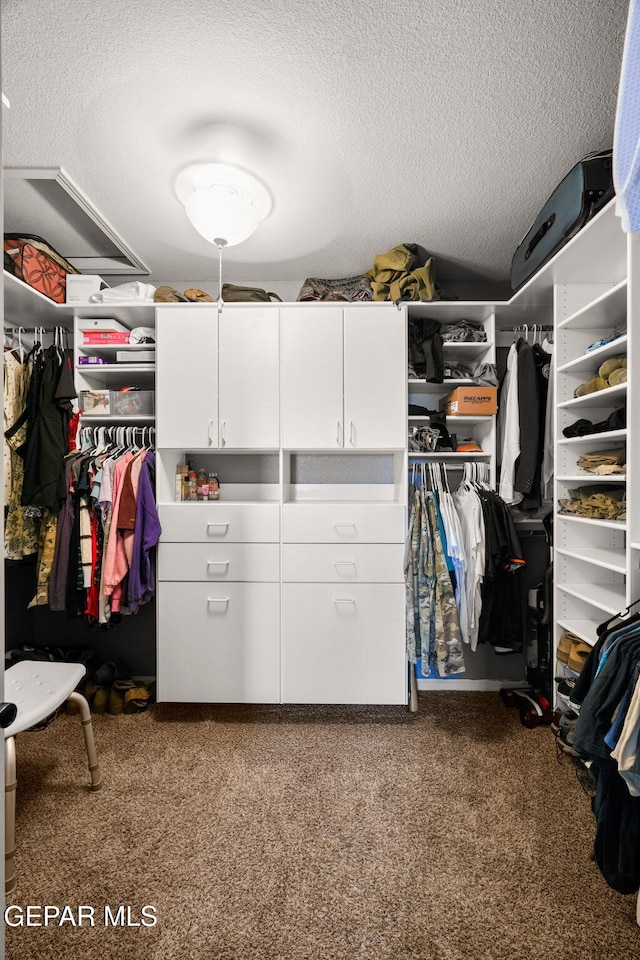 spacious closet with carpet floors