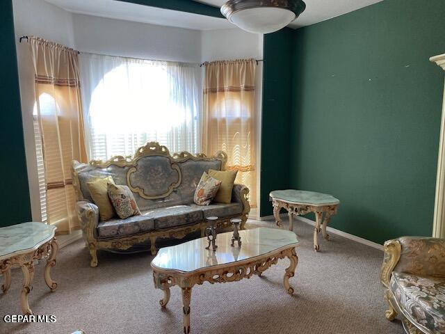 sitting room featuring carpet flooring