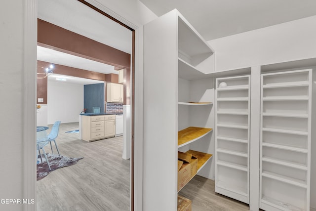 walk in closet featuring light hardwood / wood-style flooring