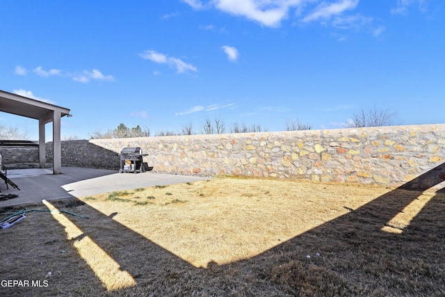 view of yard with a patio area