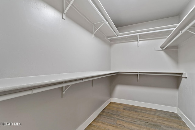 spacious closet with dark hardwood / wood-style floors