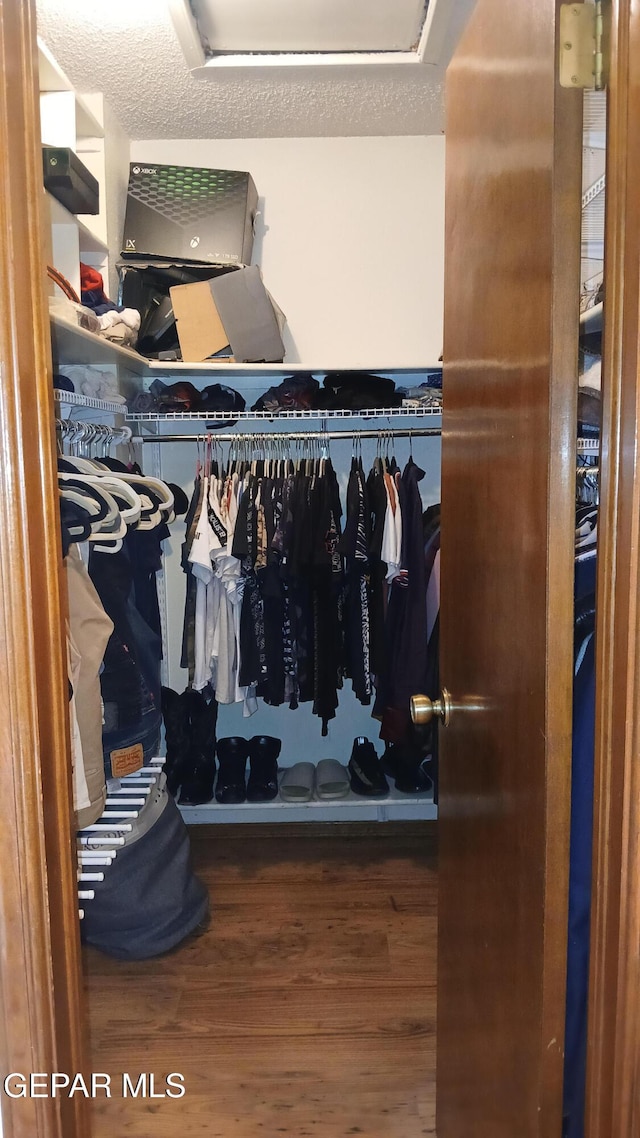 spacious closet with wood-type flooring