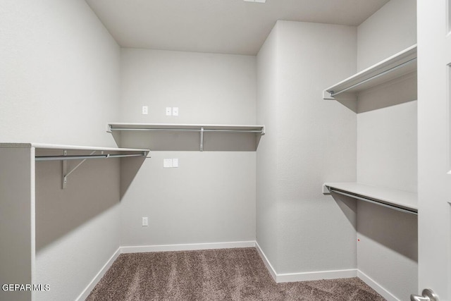 walk in closet with dark colored carpet