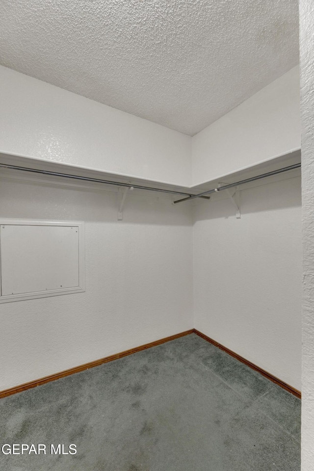 walk in closet with carpet floors