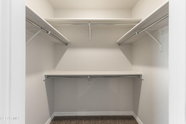 walk in closet with dark colored carpet