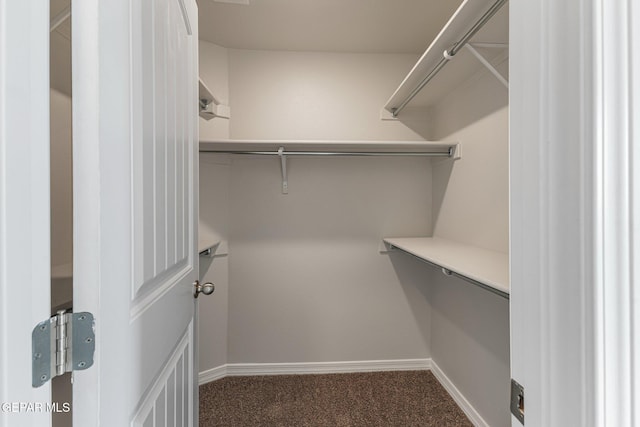 spacious closet with dark carpet