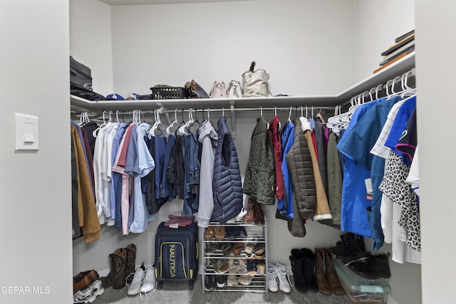 spacious closet featuring carpet floors