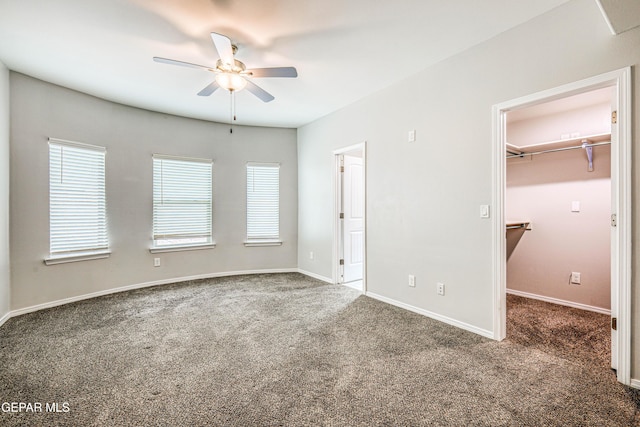 unfurnished bedroom featuring a walk in closet, ceiling fan, a closet, and dark colored carpet