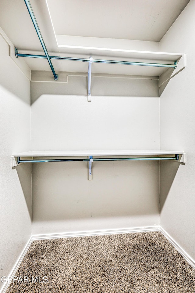 spacious closet with carpet floors