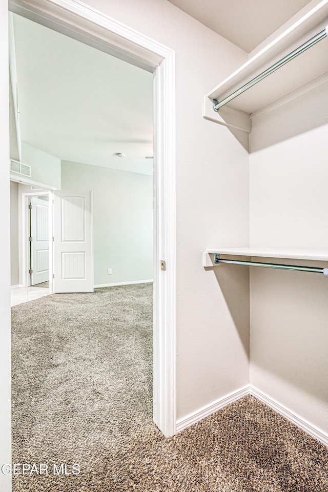 spacious closet featuring carpet floors