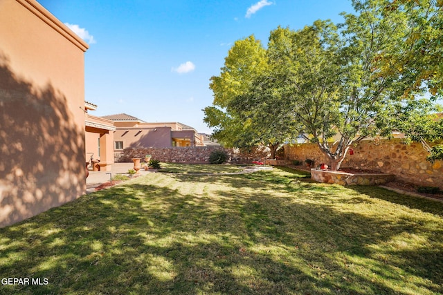 view of yard with a patio