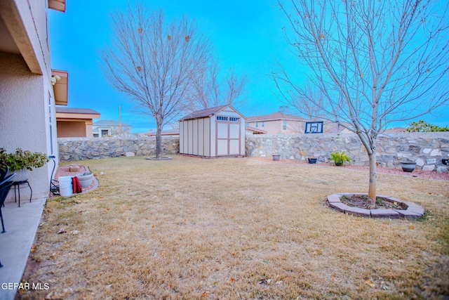 view of yard with a storage unit