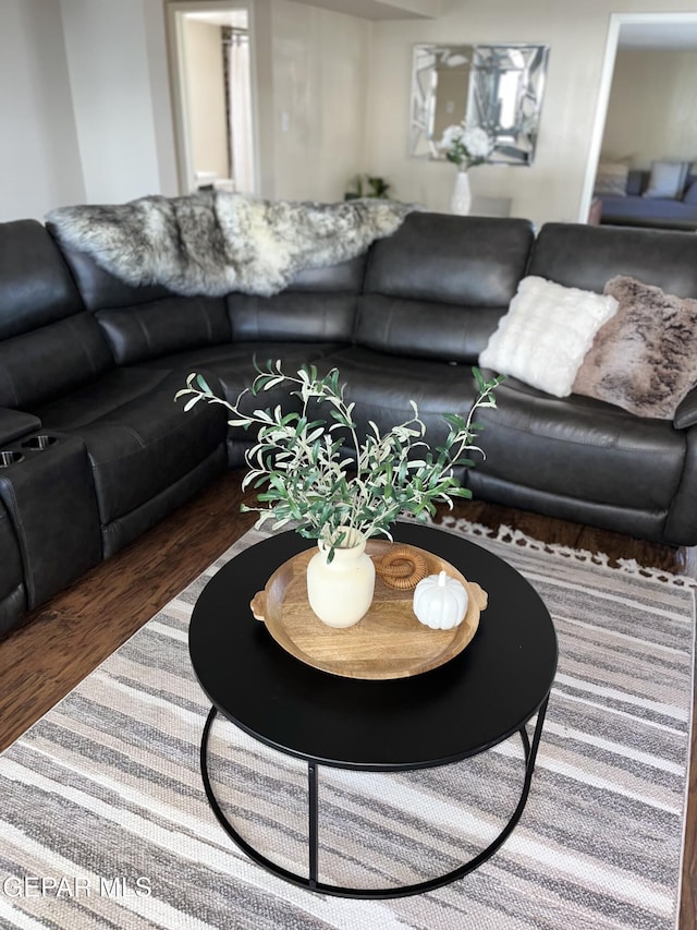 living room featuring dark wood-type flooring