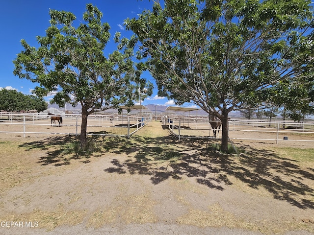 view of yard featuring a rural view