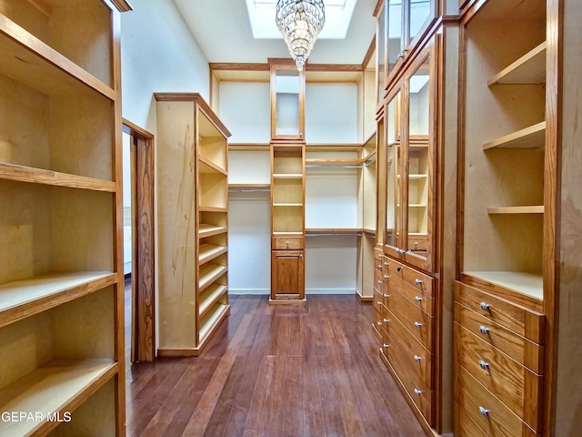 walk in closet with an inviting chandelier and dark wood-type flooring