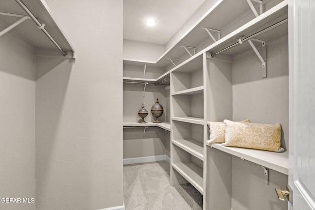 walk in closet featuring light carpet