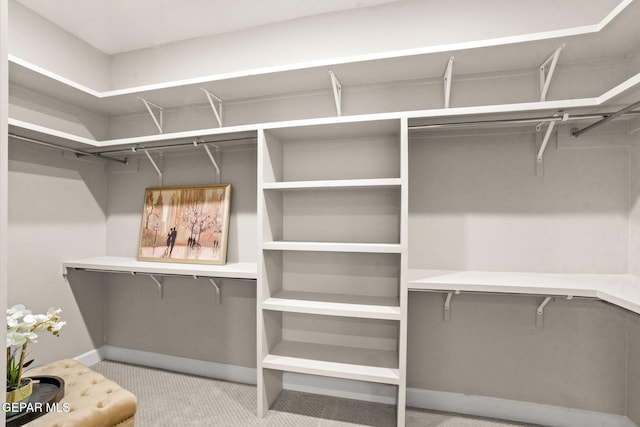 spacious closet featuring light colored carpet