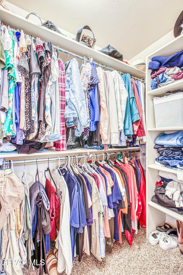 spacious closet featuring carpet floors