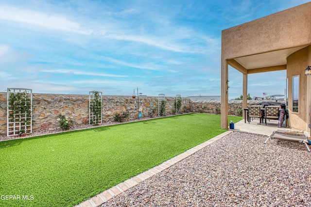 view of yard with a patio