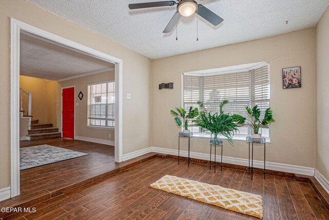 entryway featuring a textured ceiling, plenty of natural light, ceiling fan, and ornamental molding