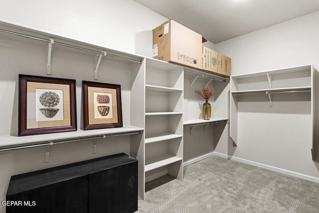 spacious closet with light carpet