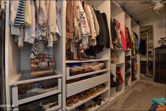 spacious closet with carpet floors