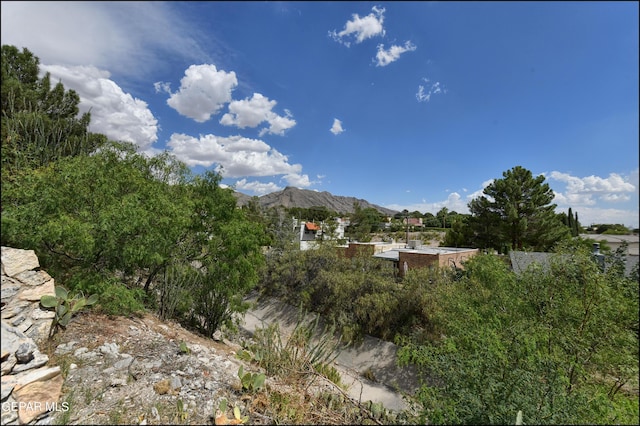 view of local wilderness featuring a mountain view