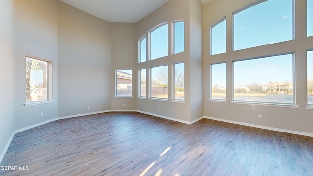 unfurnished room featuring a healthy amount of sunlight and wood-type flooring