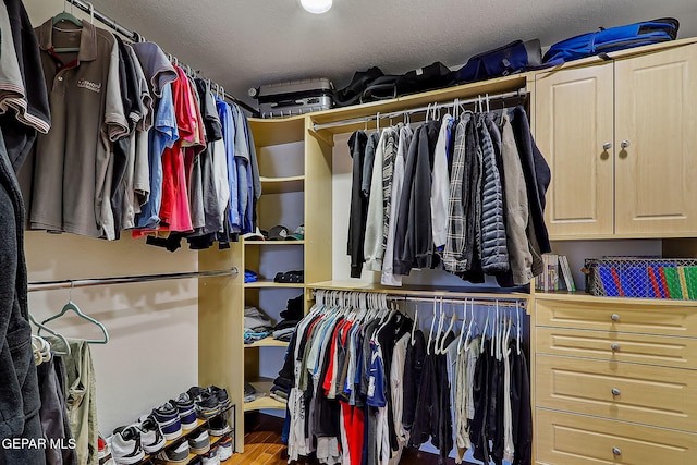 spacious closet featuring hardwood / wood-style floors