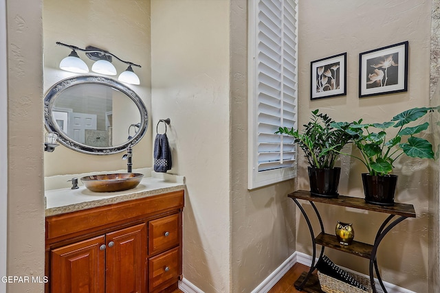 bathroom with hardwood / wood-style flooring and vanity