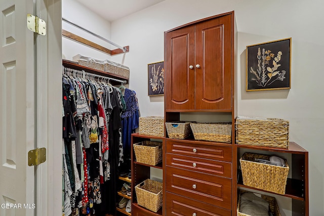 view of spacious closet