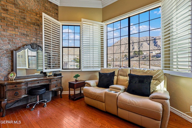 office with wood-type flooring, a mountain view, and ornamental molding