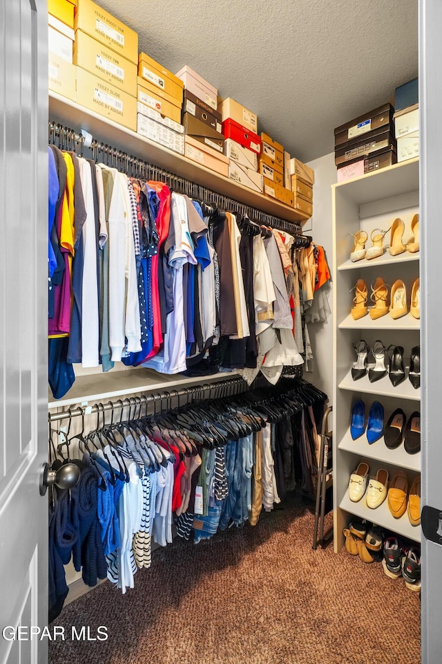 walk in closet featuring carpet flooring