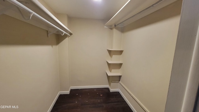 spacious closet with dark hardwood / wood-style floors